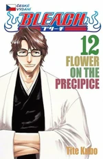 Bleach 12 - Tite Kubo