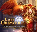 Lost Grimoires 3: The Forgotten Well Steam CD Key