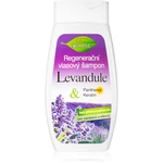 Bione Cosmetics Lavender regeneračný šampón pre všetky typy vlasov 260 ml