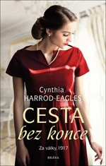 Cesta bez konce - Za války, 1917 - Cynthia Harrod-Eagles