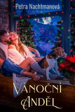 Vánoční anděl - Petra Nachtmanová