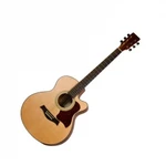 Be Joe Palermo Ga-d40 Gitara Akustyczna