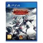 Divinity: Original Sin (Enhanced Edition) - PS4