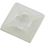 Úchytka TRU COMPONENTS WCA26R 541293, 4.80 mm (max), transparentní, 1 ks