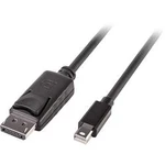 DisplayPort kabel LINDY [1x zástrčka DisplayPort - 1x mini DisplayPort zástrčka] černá 2.00 m