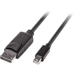 DisplayPort kabel LINDY [1x zástrčka DisplayPort - 1x mini DisplayPort zástrčka] černá 2.00 m