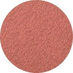 Brusný list PFERD 42772706 Zrnitost 60, (Ø) 75 mm, 50 ks
