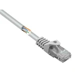 Síťový kabel RJ45 Basetech BT-2267605, CAT 5e, U/UTP, 0.50 m, šedá