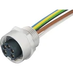 Neupravený zástrčkový konektor pro senzory - aktory Murr Elektronik 7000-78381-9780150 1.50 m, 1 ks