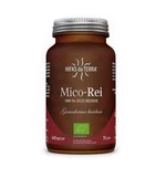 Hifas da Terra Mico-Rei BIO 70 kapslí