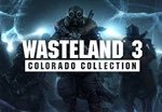 Wasteland 3 Colorado Collection Steam Account
