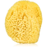 Agnotis Natural sponge dětská mycí houba 1 ks
