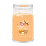 Yankee Candle Aromatická svíčka Signature sklo velké Mango Ice Cream 567 g