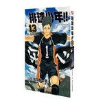 Chinese Simplified Japanese Hot Blooded Anime Haikyuu! ハイキュー!! 24pcs Full Set Volume 13 Free Shipping JUMP COMICS