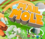 Mail Mole Steam CD Key