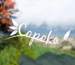 Copoka Steam CD Key