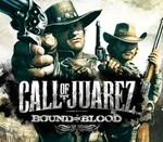 Call of Juarez: Bound in Blood Steam Gift