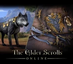 The Elder Scrolls Online - Dragon Slayer Bundle #2 DLC XBOX One / Xbox Series X|S CD Key