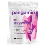 PANGAMIN Ostropestřec pivovarské kvasnice 200 tablet