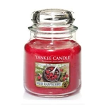 Yankee Candle Aromatická svíčka Classic střední Red Raspery 411 g