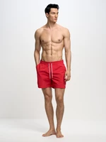Big Star Man's Swim_shorts Swimsuit 390014  603