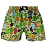 Men's shorts Represent exclusive Ali end of unique