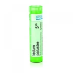 BOIRON Ledum Palustre CH5 4 g