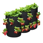 Grow Bags Strawberry Planter Bags with Flap and Handles 3 Pack 10 Gallon Heavy Duty Fabric Plant Pots for Tomato Carrot