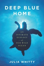 Deep Blue Home