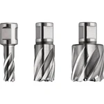 Fein  63134220301 jadrový vrták  22 mm  1 ks