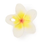 Oli&Carol mini hryzadlo kvet Hawaii the Flower