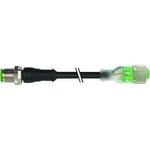 Upravený zástrčkový konektor pro senzory - aktory Murr Elektronik 7000-40311-6341500 15.00 m, 1 ks