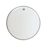 Remo Ambassador 22" Br-1222-00