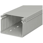 OBO Bettermann 6178035 káblový kanál  (d x š x v) 2000 x 80 x 60 mm 1 ks kamenná sivá