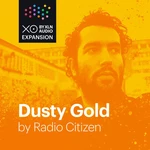 XLN Audio XOpak: Dusty Gold (Produkt cyfrowy)