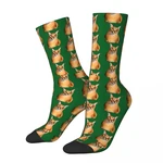 Big Floppa Socks Men Women Casual Socks Novelty Spring Summer Autumn Winter Middle Tube Socks Gifts