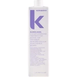 Kevin Murphy Maska pro blond a šedé vlasy Cool.Angel (Cool Ash Colour Enhancing Shine Treatment) 1000 ml