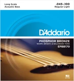 D'Addario EPBB 170 Cuerdas de bajo acústico