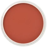 PanPastel 9ml – 380.5 Red Iron Oxide