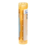 BOIRON Aurum metallicum CH15 4 g