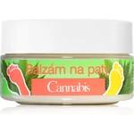 Bione Cosmetics Cannabis balzam na päty 150 ml