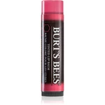 Burt’s Bees Tinted Lip Balm balzam na pery odtieň Hibiscus 4.25 g