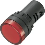TRU COMPONENTS 140399 indikačné LED  zelená   230 V/AC    AD16-22DS / 230V / G