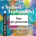 Neobvyklá pohádka o Šídlovi a Teplomilovi – šaty pro princeznu - Luboš Pavel - audiokniha