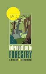 Introduction to Forestry