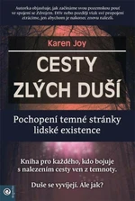 Cesty zlých duší - Pochopení temné stránky lidské existence - Joy Karen