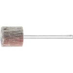 Vějířová bruska NA KŮŇ PFERD 44400048 Průměr 15 mm