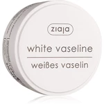 Ziaja Basic Care biela vazelína 30 ml
