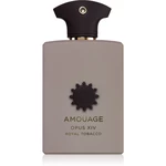 Amouage Opus XIV Royal Tobacco parfumovaná voda unisex 100 ml