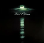 Band Of Horses - Cease To Begin (LP)